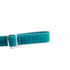 2Hounds Design Teal Velvet Dog Leash 6' - Poudre Pet & Feed Supply 2
